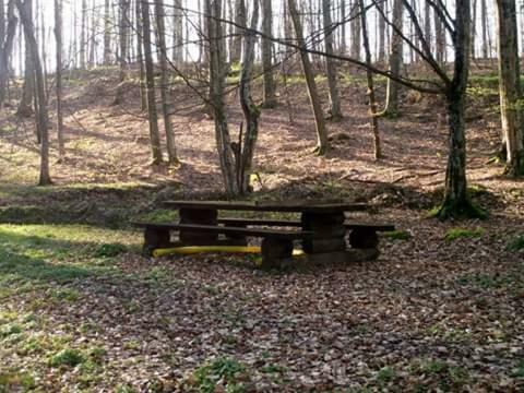 Kuca Za Odmor"Miran San" Villa Podgorić Exterior foto