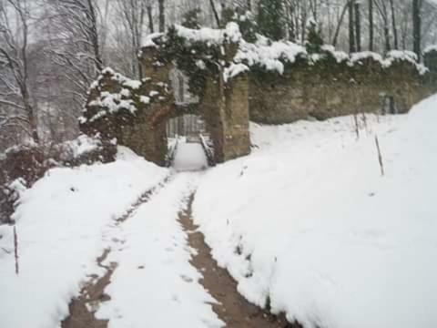 Kuca Za Odmor"Miran San" Villa Podgorić Exterior foto