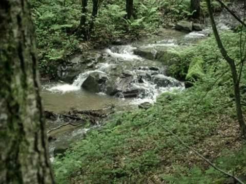 Kuca Za Odmor"Miran San" Villa Podgorić Exterior foto